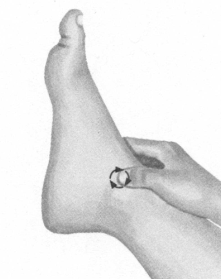 美容美体按摩部位图解