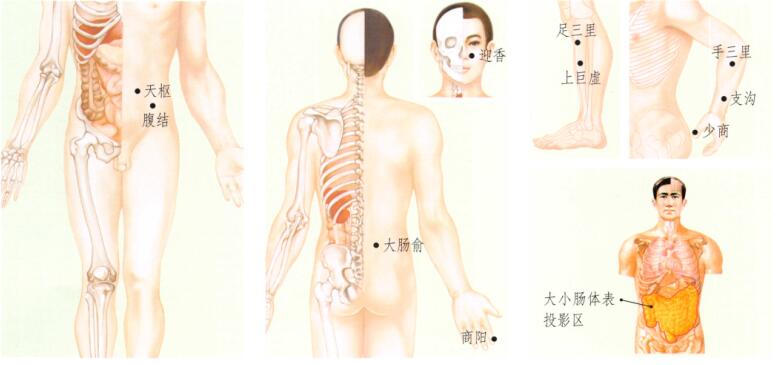 便秘刮痧部位图解