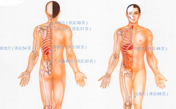 湿疹按摩部位图解