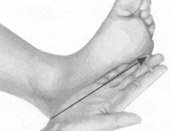 更年期综合征按摩部位图解