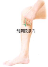 鼻窦炎刮痧部位图解