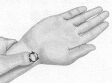 前列腺疾病按摩部位图解