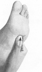 耳鸣-耳聋按摩部位图解