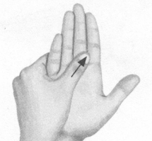 鼻炎按摩部位图解