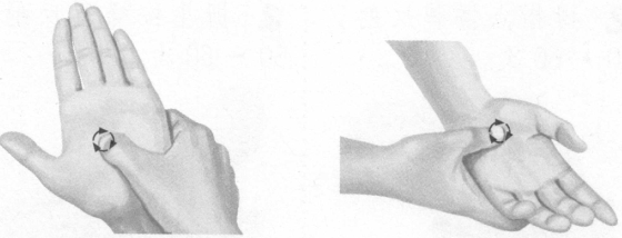 性冷淡按摩部位图解