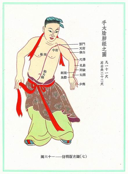 《新针灸学》经穴图