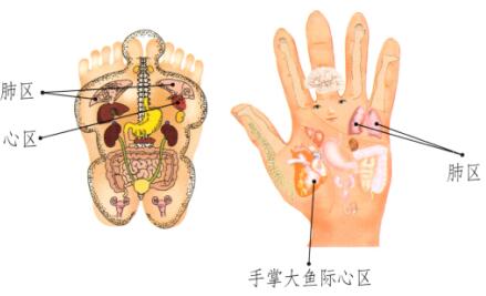 眉眼间皱纹刮痧部位图解