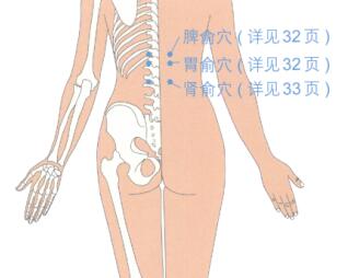 阴道炎按摩部位图解