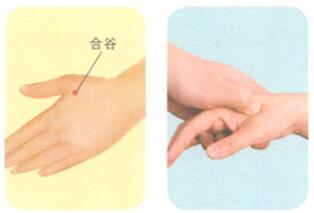 眼睑浮肿按摩部位图解