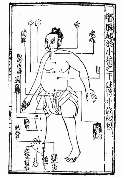 《子午流注针经》十二脉图