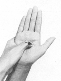 胃肠炎按摩部位图解