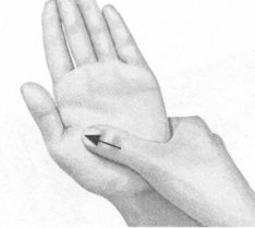 失眠症按摩部位图解