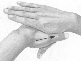 前列腺疾病按摩部位图解