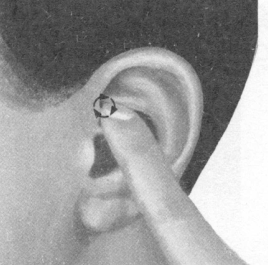 鼻炎按摩部位图解