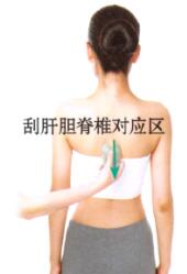 肝和胆保健刮痧部位图解