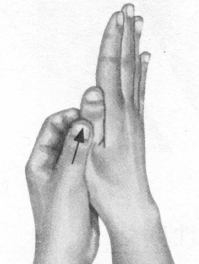 鼻炎按摩部位图解