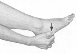 肩周炎按摩部位图解