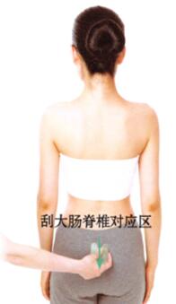 腹泻刮痧部位图解