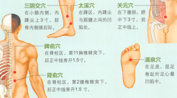 老年痴呆症艾灸哪个部位图解