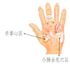 心和小肠保健刮痧部位图解