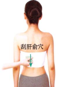 眼干涩-眼疲劳刮痧部位图解