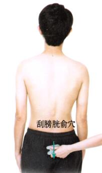 肾和膀胱保健刮痧部位图解