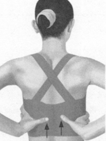 更年期综合征按摩部位图解