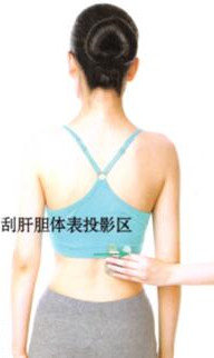 眼袋刮痧部位图解