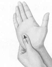 肥胖症按摩部位图解