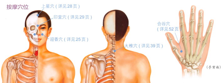 鼻出血按摩部位图解