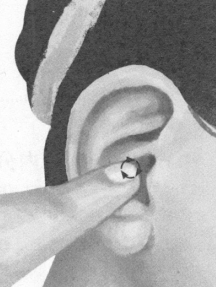 美容美体按摩部位图解