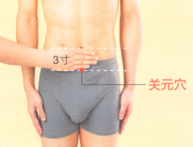 遗精艾灸哪个部位图解