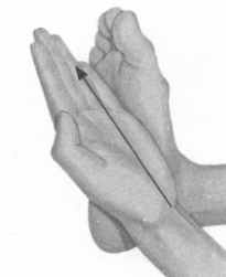 遗精按摩部位图解