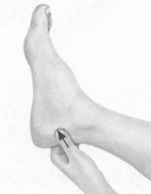 闭经按摩部位图解