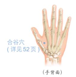 网球肘按摩部位图解