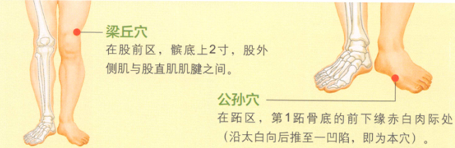 肥胖艾灸哪个部位图解