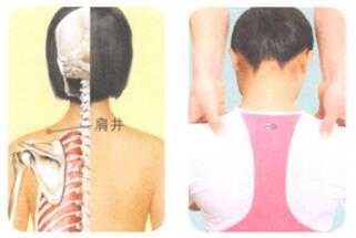 眼睑浮肿按摩部位图解