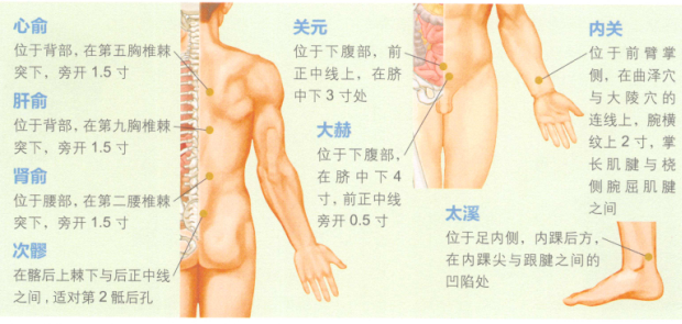 早泄艾灸哪个部位图解