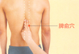 腹泻艾灸哪个部位图解