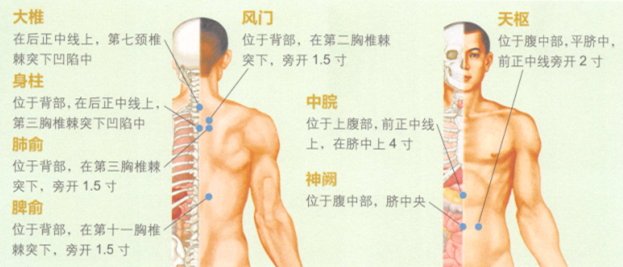 小儿保健艾灸哪个部位图解