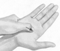 前列腺疾病按摩部位图解