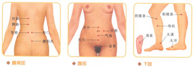 阴部瘙痒按摩部位图解