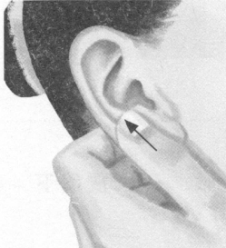 近视按摩部位图解