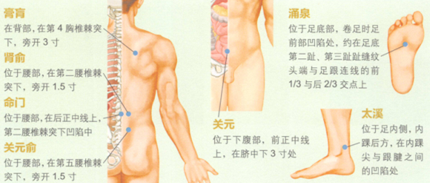补肾强身艾灸哪个部位图解