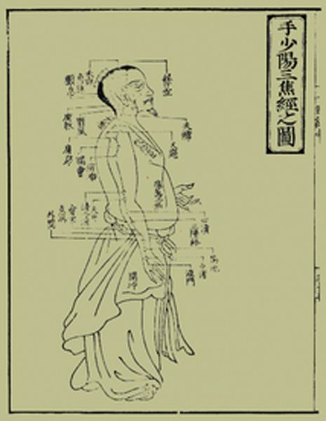 《十四经发挥》经穴图