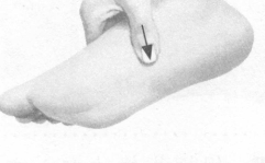 近视按摩部位图解