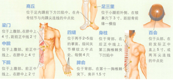 小儿厌食艾灸哪个部位图解