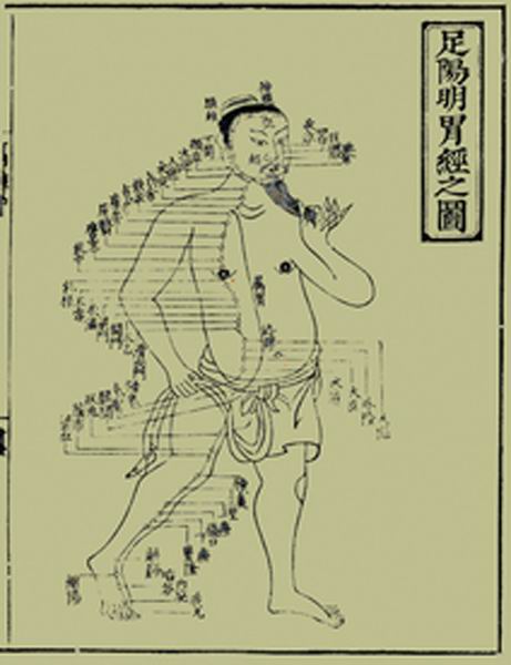 《十四经发挥》经穴图