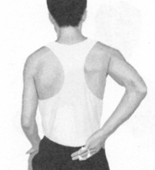 胃痛按摩部位图解