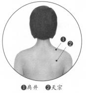 健美肩部按摩部位图解